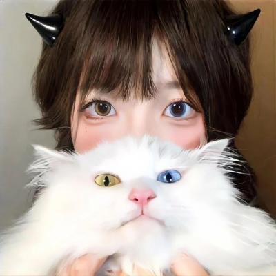 情宿